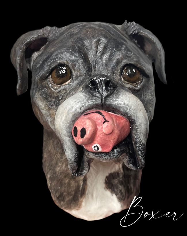 boxer