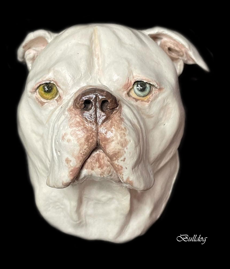 bulldog2