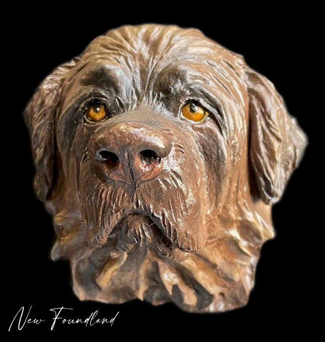newfoundland2