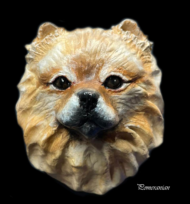 pomeranian1