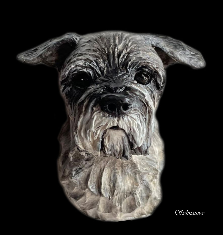 schanuzer1