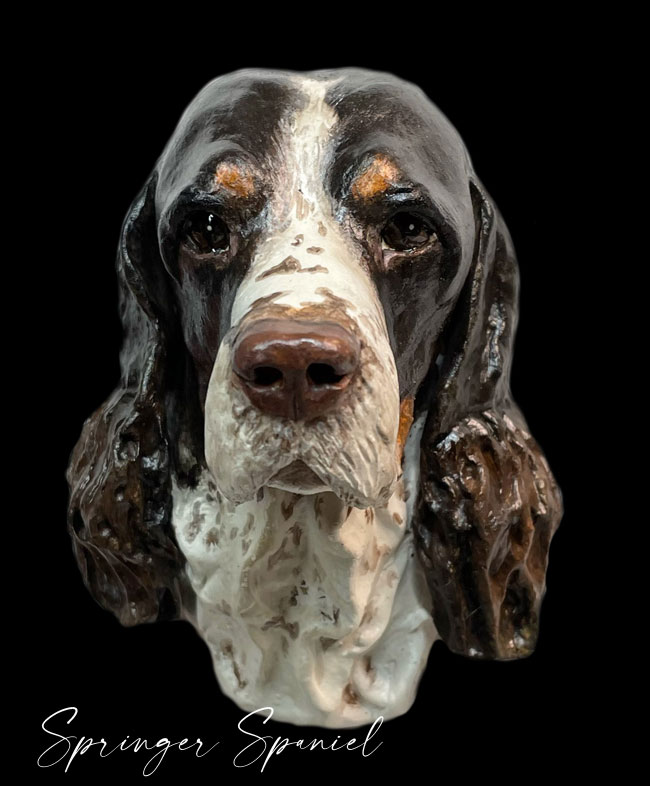 springerspaniel
