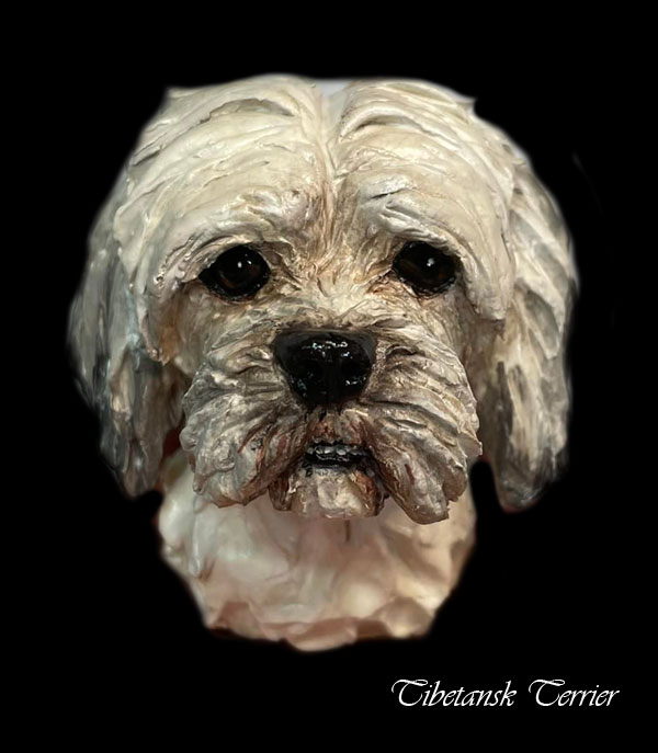 tibbe