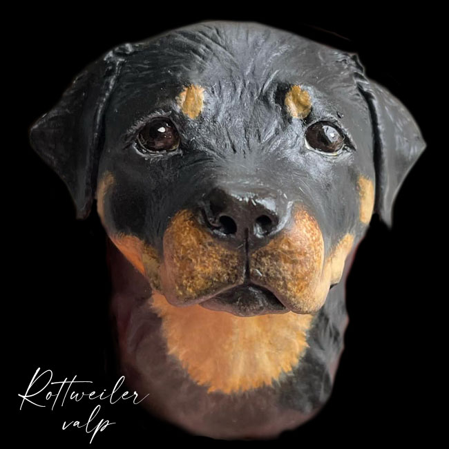 valp_rottweiler